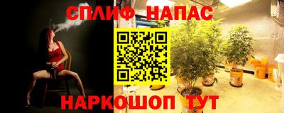 Альфа ПВП Бугуруслан