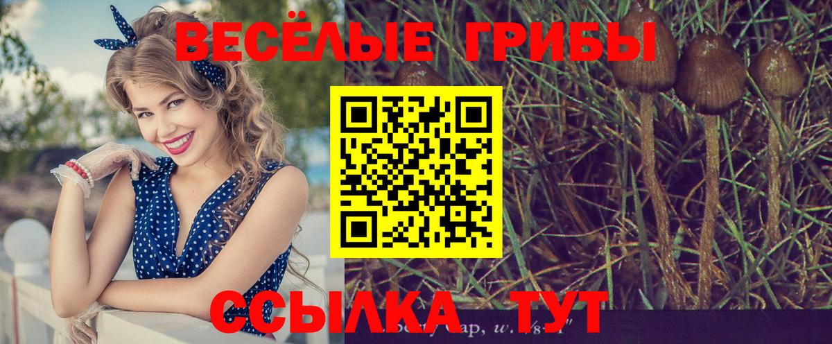Метамфетамин  ГАШ  Канабис  Альфа ПВП СК кристаллы  Тобольск  Вход с VPN  Экстази  Кокаин  МЕФ   NBOMe 